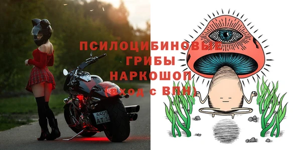синтетический гашиш Алексин